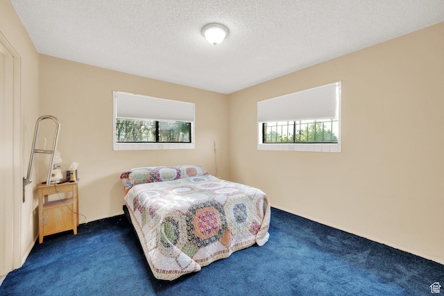 4655 W 4715 S, Salt Lake City, UT 84118 - bedroom with multiple windows, carpet floors, and a textured ceiling