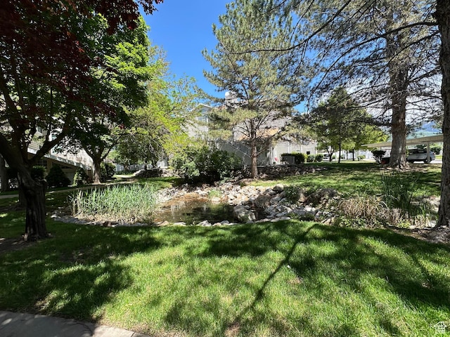 650 S Main St Unit 6104, Bountiful, UT 84010 - view of green lawn