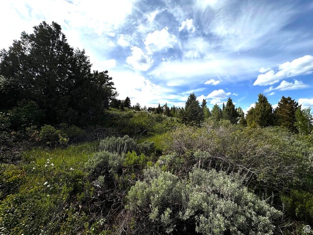 655 S Juniper Dr Unit E-31, Garden City, UT 84028 - photo 16