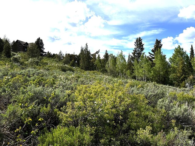 655 S Juniper Dr Unit E-31, Garden City, UT 84028 - photo 5