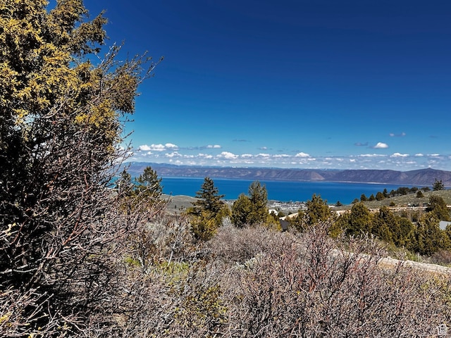 655 S Juniper Dr Unit E-31, Garden City, UT 84028 - photo 8