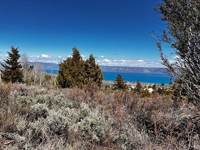 655 S Juniper Dr Unit E-31, Garden City, UT 84028 - photo 2