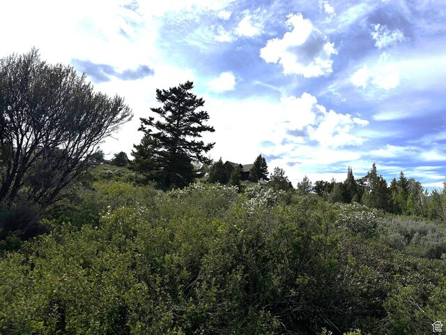 655 S Juniper Dr Unit E-31, Garden City, UT 84028 - photo 15