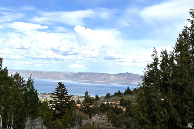 655 S Juniper Dr Unit E-31, Garden City, UT 84028 - photo 6