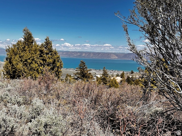 655 S Juniper Dr Unit E-31, Garden City, UT 84028 - photo 7