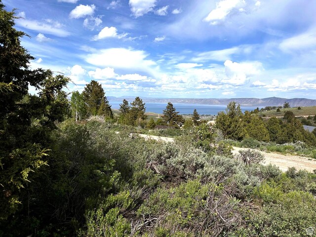 655 S Juniper Dr Unit E-31, Garden City, UT 84028 - photo 14