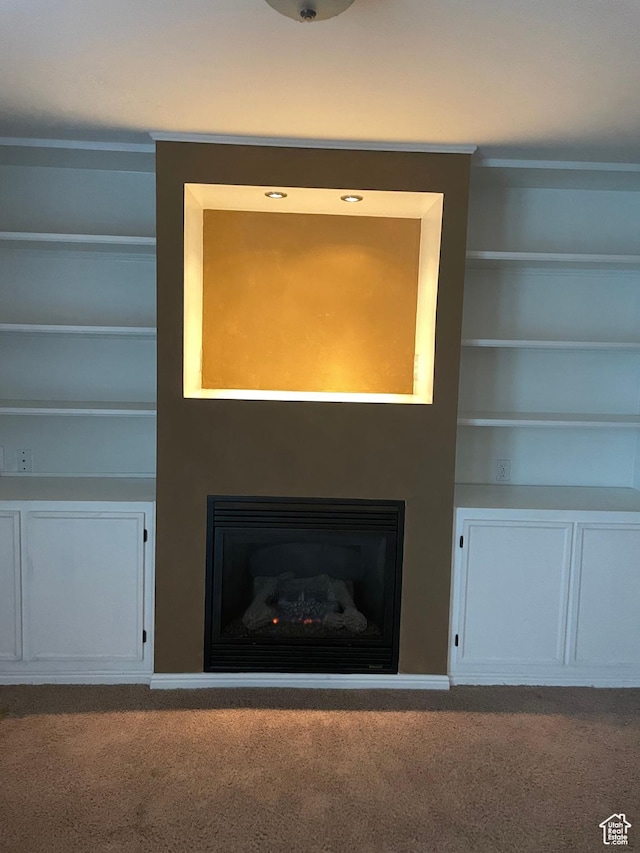 13778 S 2260 W, Riverton, UT 84065 - detailed view of carpet flooring, a fireplace, and built in features