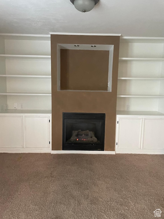 13778 S 2260 W, Riverton, UT 84065 - detailed view of carpet floors, a glass covered fireplace, and built in features