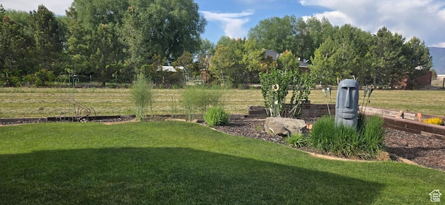 6897 S 4000 W, Benjamin, UT 84660 - view of green lawn