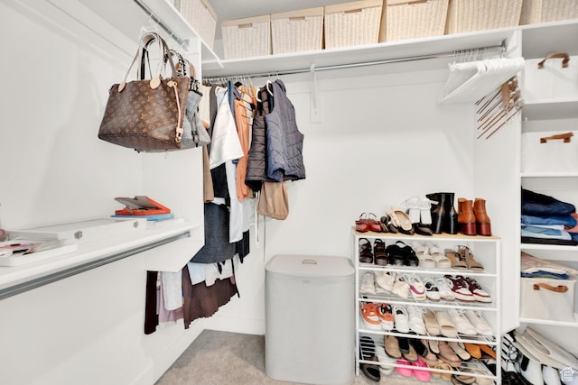 12297 S Boggs Way, Herriman, UT 84096 - walk in closet featuring carpet flooring