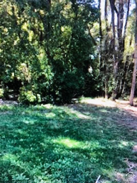 1419 S Grant, Ogden, UT 84404 - view of nature