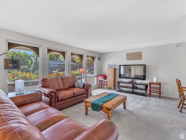 5104 Shawnee Ln, Ogden, UT 84403 - living area with healthy amount of natural light, carpet floors, and a textured ceiling