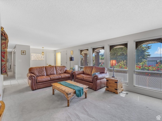 5104 Shawnee Ln, Ogden, UT 84403 - living area with healthy amount of natural light, a textured ceiling, and carpet