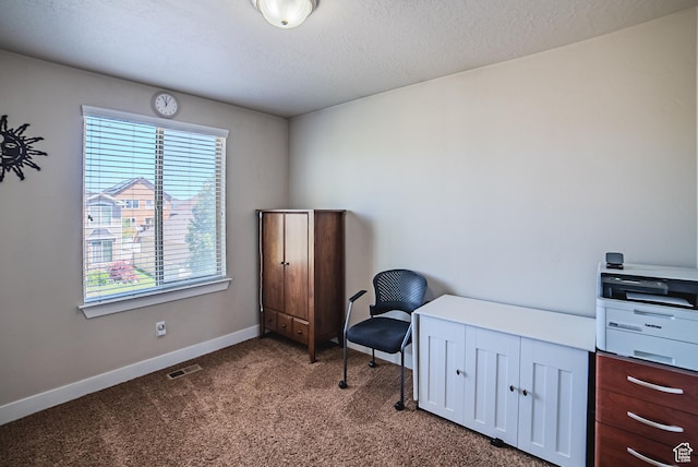3907 W Tottori Dune Dr S, South Jordan, UT 84095 - carpeted office space featuring baseboards and a textured ceiling