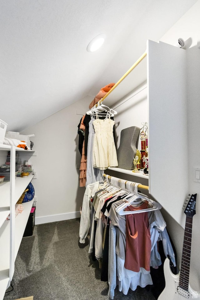 495 E 100 S, Centerfield, UT 84622 - walk in closet featuring lofted ceiling and carpet