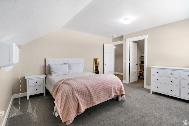 495 E 100 S, Centerfield, UT 84622 - bedroom featuring carpet flooring, lofted ceiling, a walk in closet, and baseboards
