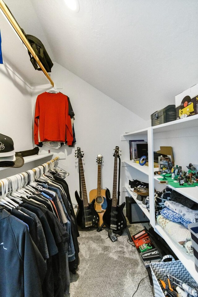495 E 100 S, Centerfield, UT 84622 - spacious closet with carpet and vaulted ceiling