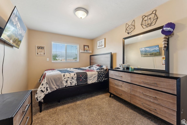 5748 S 3975 W, Roy, UT 84067 - view of carpeted bedroom