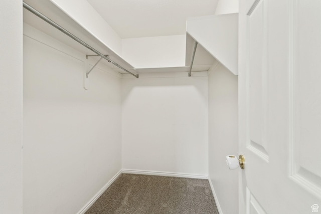 256 Jay Ln, Payson, UT 84651 - spacious closet with carpet