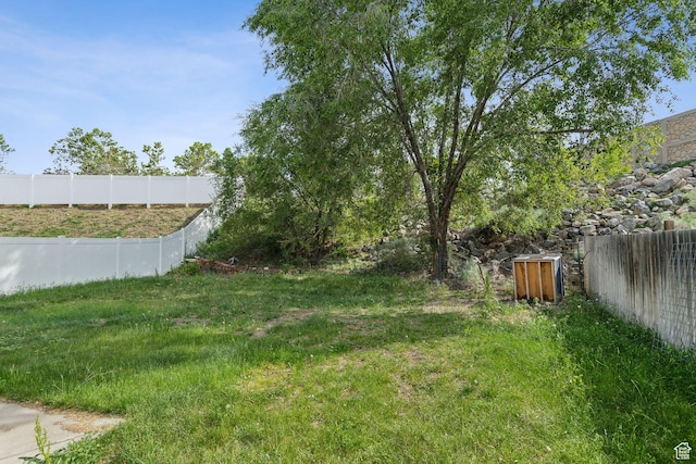 256 Jay Ln, Payson, UT 84651 - view of yard