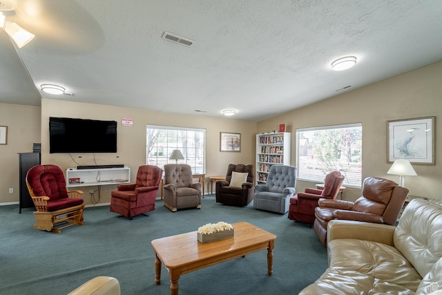 576 S Fiesta Dr, Ivins, UT 84738 - carpeted living room with a textured ceiling and vaulted ceiling