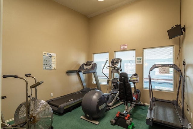 576 S Fiesta Dr, Ivins, UT 84738 - workout room featuring baseboards, a high ceiling, and carpet flooring