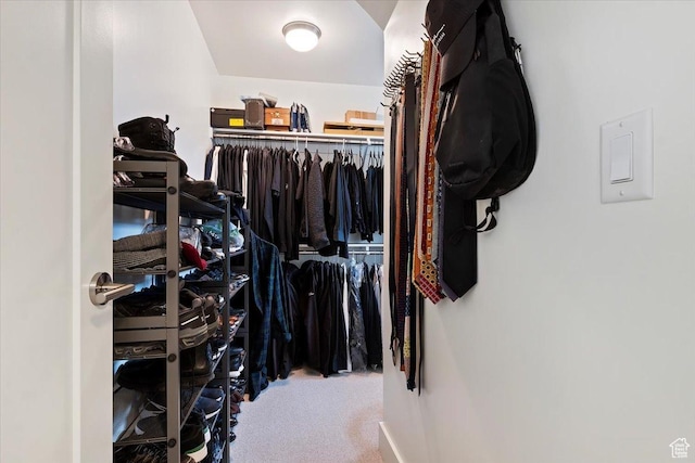 848 S Greenwood Ter E, Salt Lake City, UT 84105 - spacious closet featuring carpet
