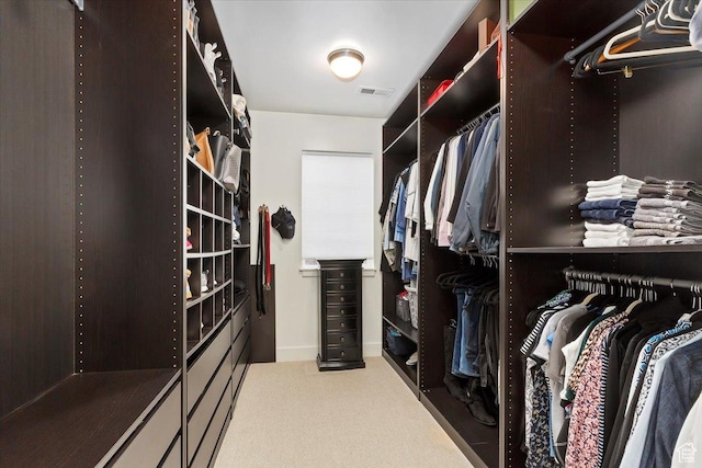 848 S Greenwood Ter E, Salt Lake City, UT 84105 - walk in closet featuring carpet
