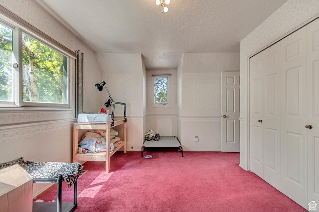 1789 N Stayner Dr W, Farmington, UT 84025 - miscellaneous room featuring carpet floors, wallpapered walls, and a textured ceiling