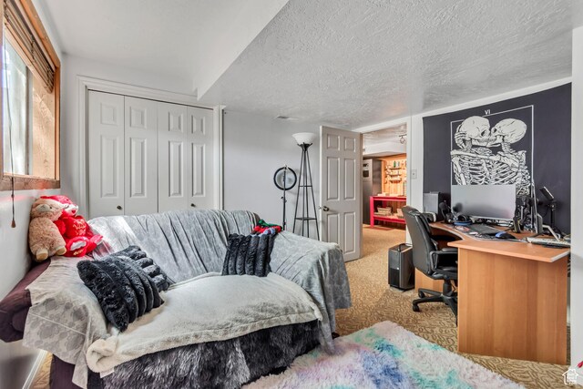 1789 N Stayner Dr W, Farmington, UT 84025 - carpeted home office featuring a textured ceiling