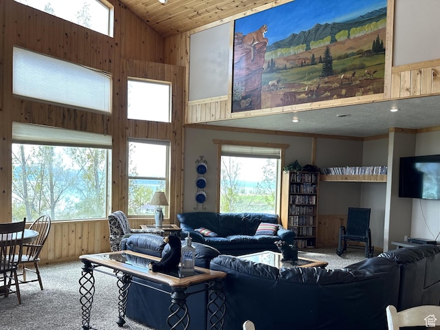 1940 E Shore Rd, Saint Charles, ID 83272 - living room featuring carpet flooring, high vaulted ceiling, healthy amount of natural light, and wood walls