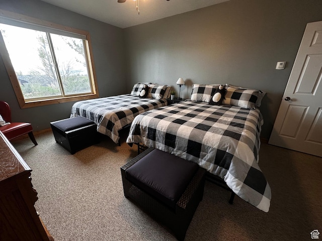 1940 E Shore Rd, Saint Charles, ID 83272 - view of carpeted bedroom