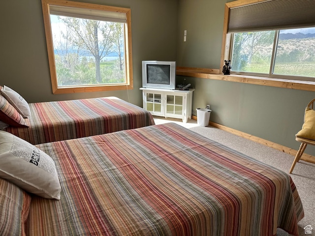 1940 E Shore Rd, Saint Charles, ID 83272 - bedroom with carpet, multiple windows, and baseboards