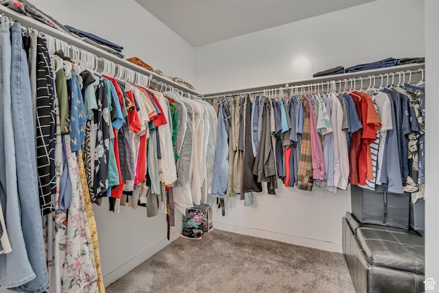 5058 W Blythswood Ln S, Herriman, UT 84096 - walk in closet featuring carpet