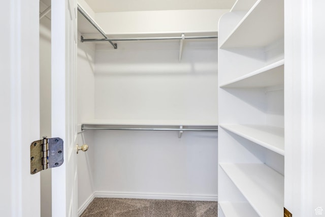 69 E Hudson Dr, Elk Ridge, UT 84651 - spacious closet with carpet flooring