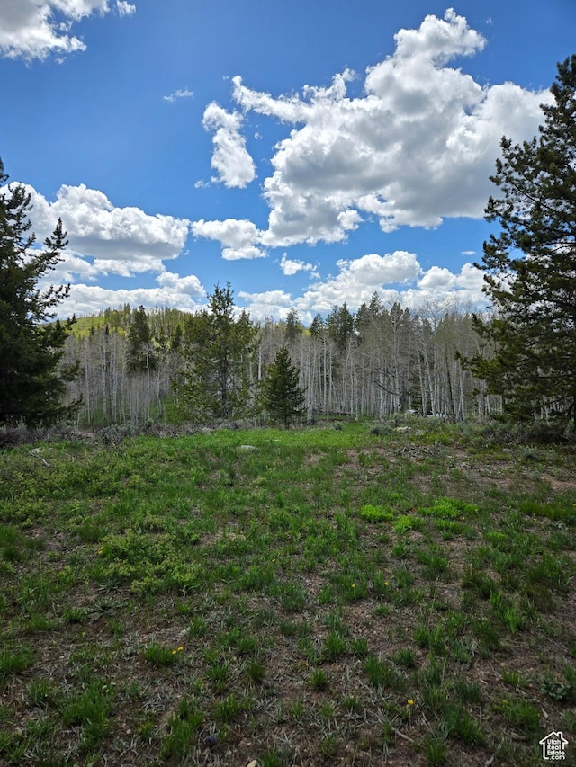 6391 Aspen Dr Unit 206, Kamas, UT 84036