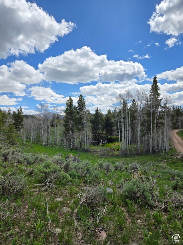 6391 Aspen Dr Unit 206, Kamas, UT 84036
