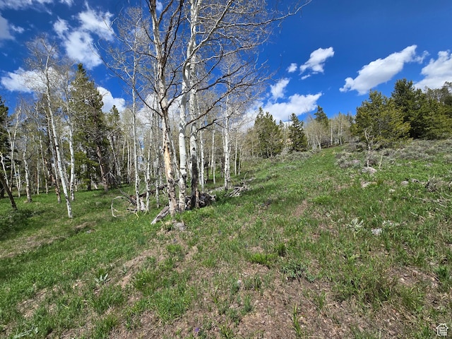 6391 Aspen Dr Unit 206, Kamas, UT 84036