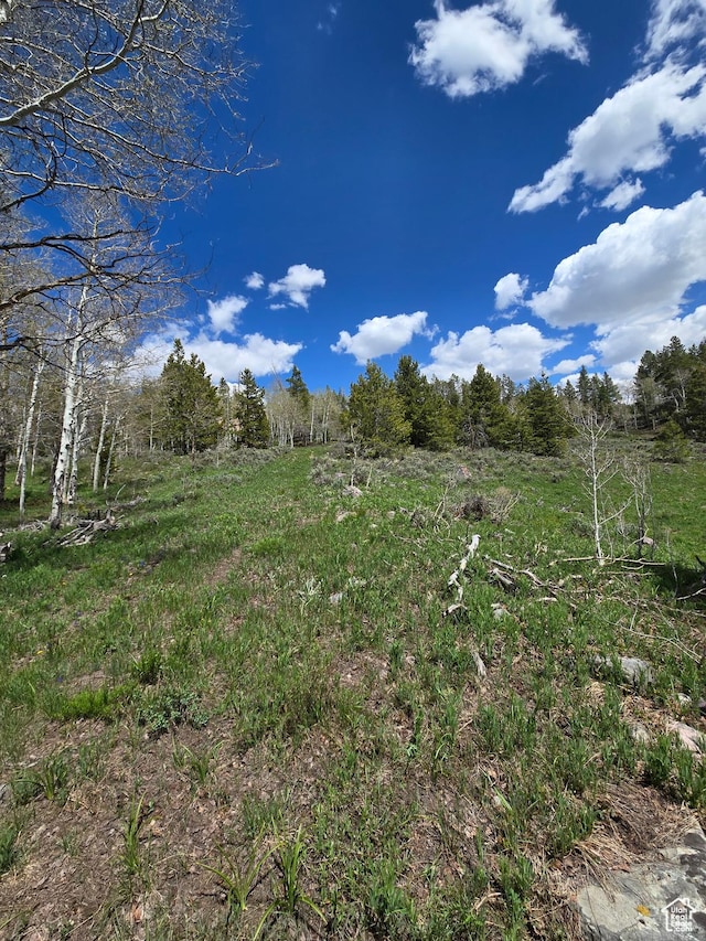 6391 Aspen Dr Unit 206, Kamas, UT 84036