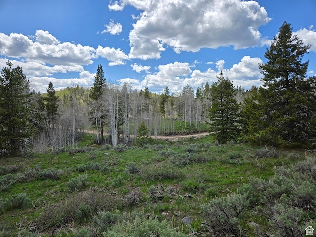 6391 Aspen Dr Unit 206, Kamas, UT 84036