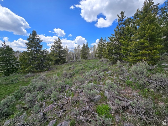 6391 Aspen Dr Unit 206, Kamas, UT 84036