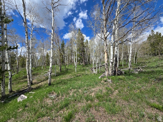 6391 Aspen Dr Unit 206, Kamas, UT 84036