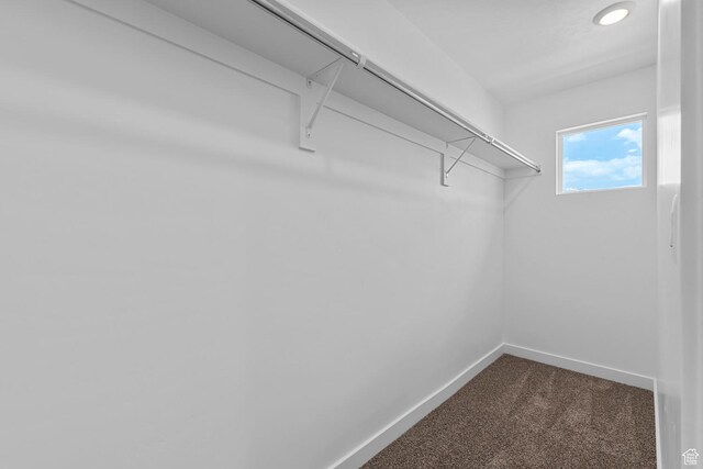 412 S 1110 W Unit 215, American Fork, UT 84003 - spacious closet featuring dark carpet