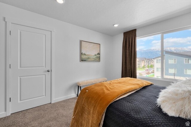 412 S 1110 W Unit 215, American Fork, UT 84003 - carpeted bedroom with baseboards and recessed lighting