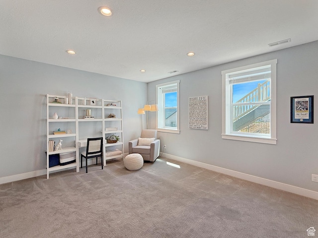 3723 N 500 E, North Ogden, UT 84414 - sitting room featuring plenty of natural light, carpet flooring, baseboards, and recessed lighting