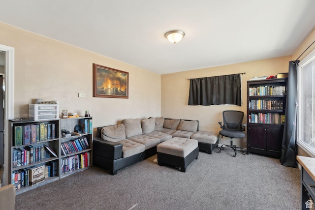 717 9th St, Ogden, UT 84404 - living room with carpet floors