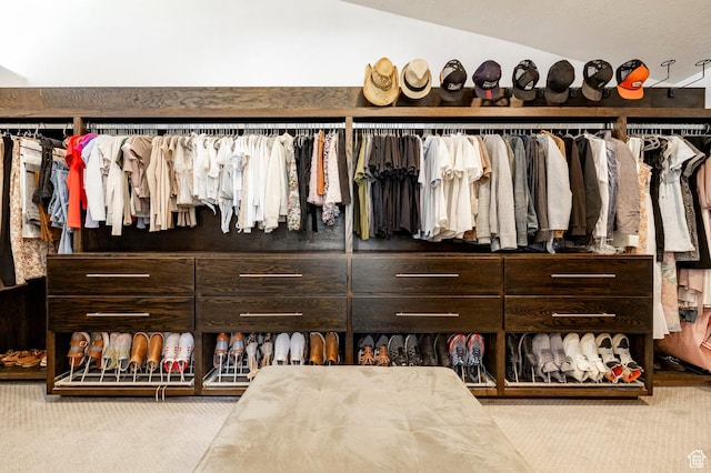1983 W Ranch Rd, Farmington, UT 84025 - view of closet