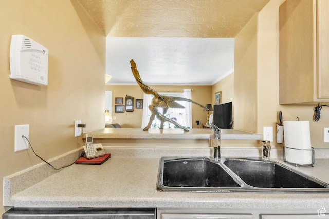 463 E Braidhill Dr, Draper, UT 84020 - kitchen featuring a sink, ornamental molding, and light countertops