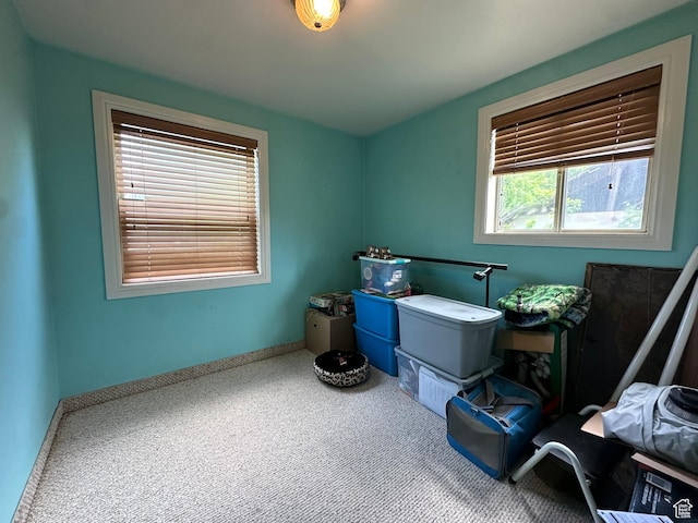 50 N 100 E, Meadow, UT 84644 - misc room featuring carpet floors and baseboards