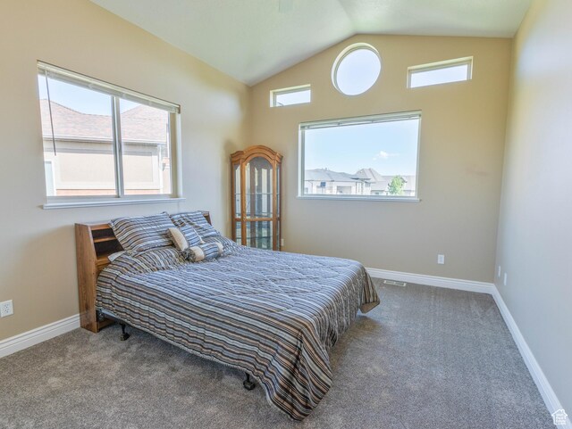 935 S 950 E, Ephraim, UT 84627 - bedroom with vaulted ceiling, carpet, and baseboards